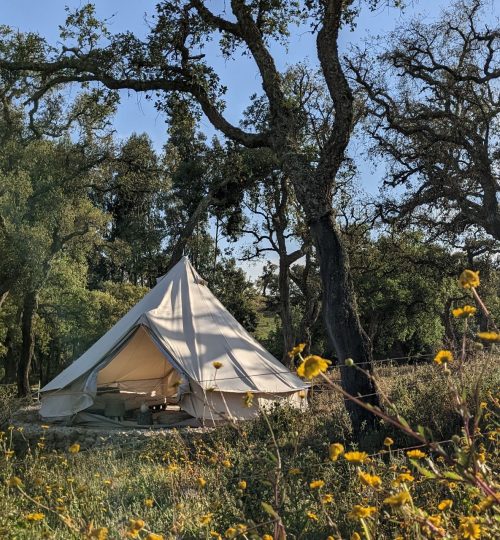 accommodation bell tent in nature portugal