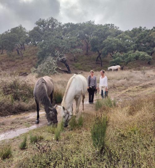 IMAGE 2025-06-24 16:52:07