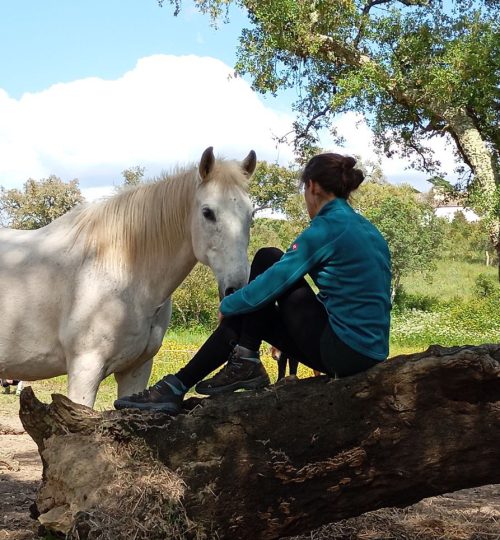 IMAGE 2025-06-24 17:31:49