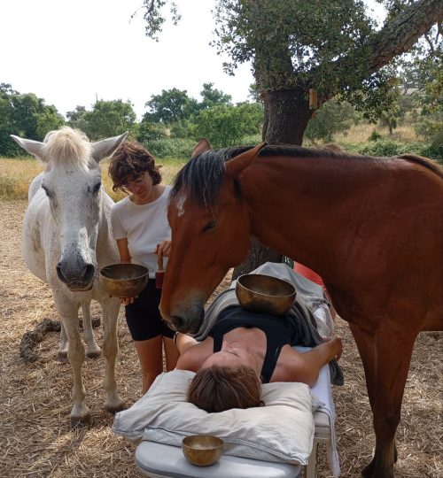 IMAGE 2025-06-24 17:31:57