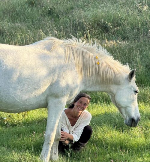 IMAGE 2026-04-20 19:02:01