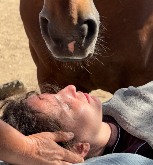 Screenshot 2026-04-20 at 18.56.21